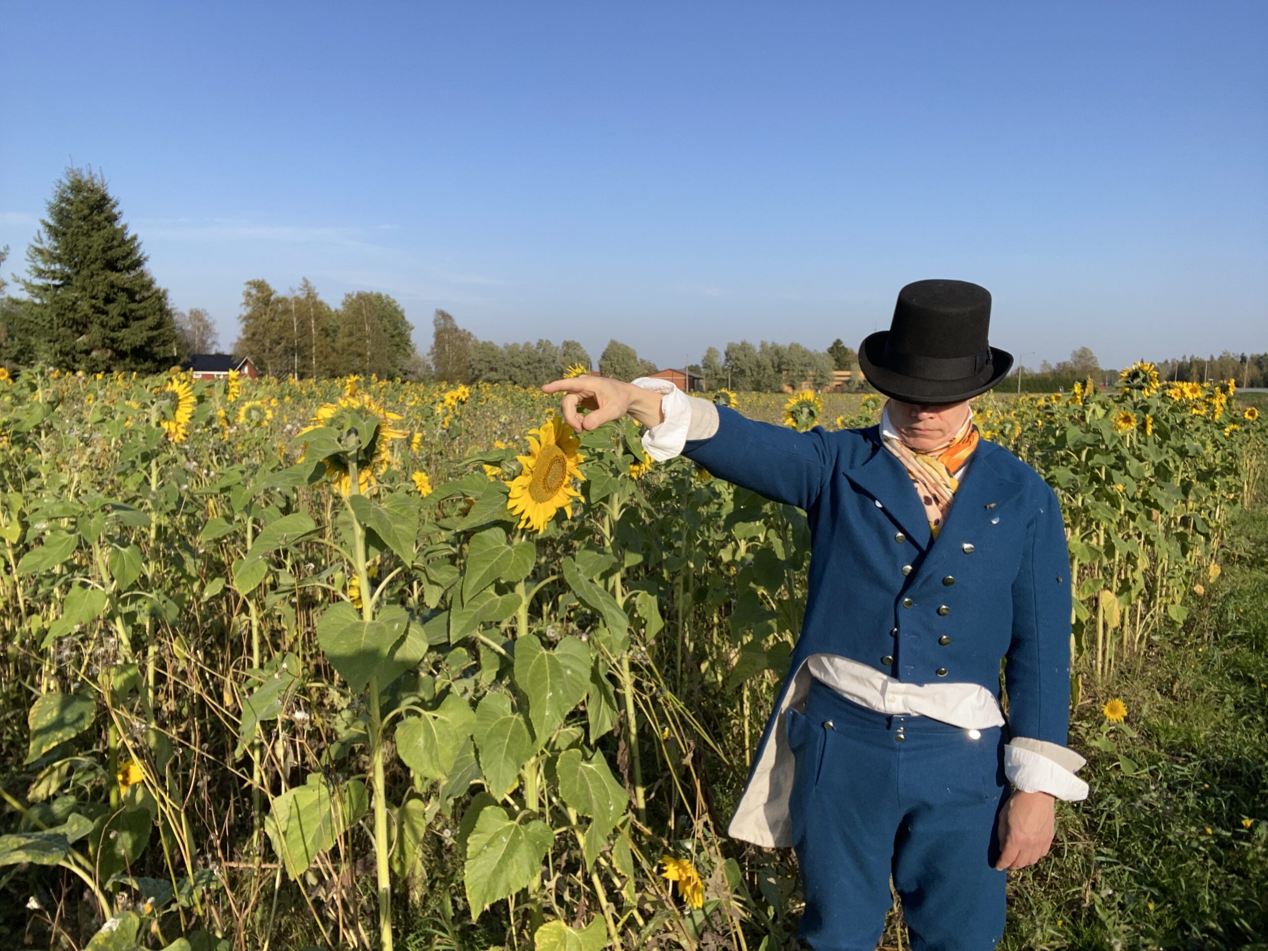 Poliphilos walks behind the rows