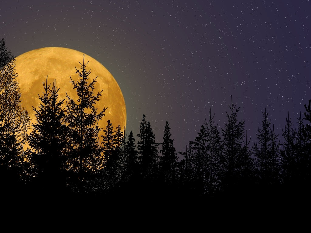 Poliphilos Underwurlde rising moon