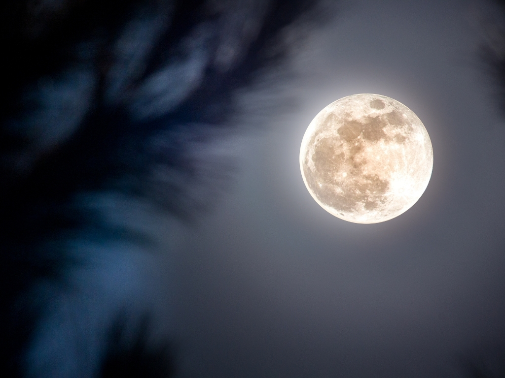 Poliphilos Underwurlde distant moon